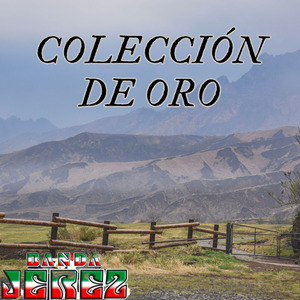 Árboles de la Barranca