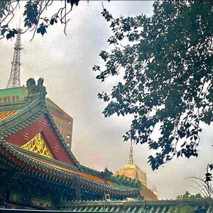 珠联璧合