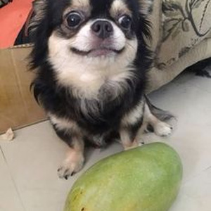 Drive Forever x Last Forever