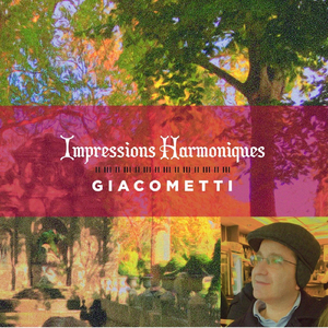 Frederic Chopin: Noturne No. 20 in C-Sharp Minor, Op Posth.: Lento con gran espressione