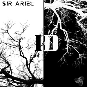 Ariel