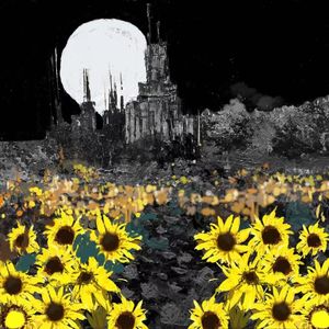 黑夜向日葵（Prod.SoBerBoi）