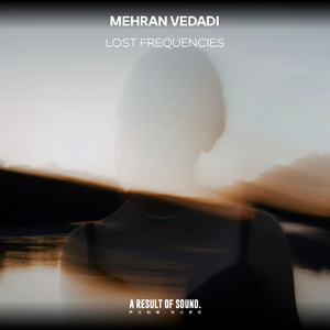 Lost Frequencies (Extended Mix)