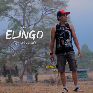 Elingo
