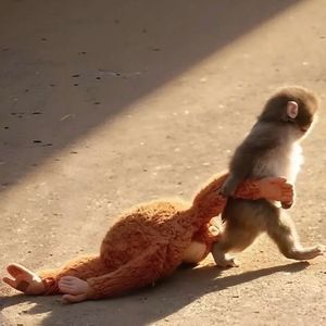 就算无人为你鼓掌