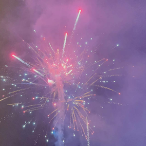 春风十里报新年（2023）