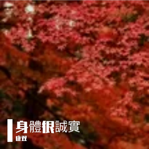 康双 - 身體很誠實