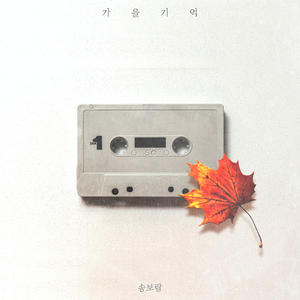 가을기억 Autumn Memories