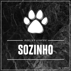 Sozinho