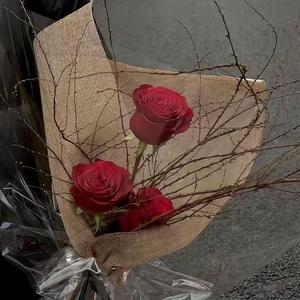 陈平安你是不是喜欢我