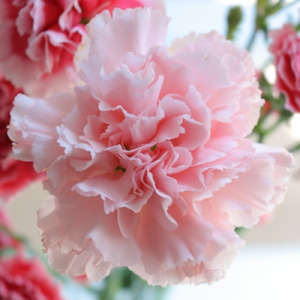 おばさん今昔物語