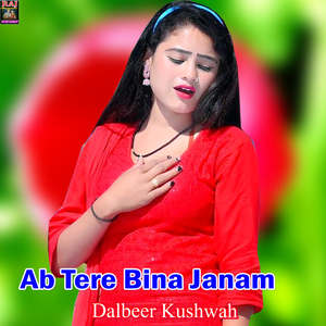 Ab Tere Bina Janam