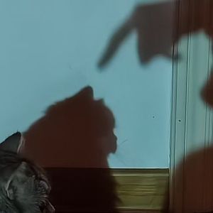 别了，诗中画的你（prod.Siren&EVO MUSIC)