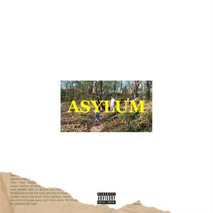 ASYLUM (feat. LMTLESS LAW)