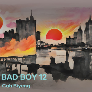 Bad Boy 12