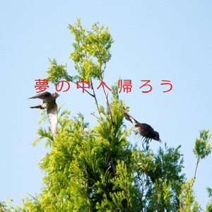 夢の中へ帰ろう