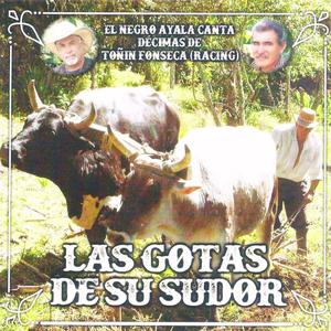 Eso lo Aprendí Contigo (feat. Negro Ayala)