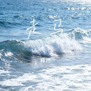 走马 (Cover 刘宇宁)