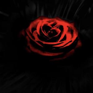 白鸟红玫瑰(Prod. Heath Stone)