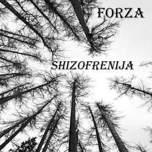Shizofrenija