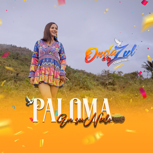 Paloma en Su Nido