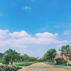 手牵手走过的青春