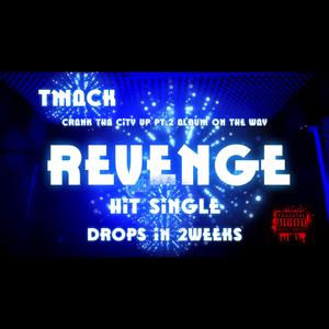 Revenge Mp3