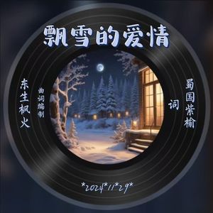 飘雪的爱情