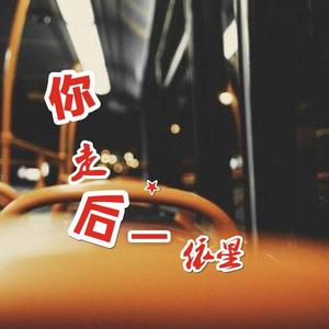 你走后（伴奏）