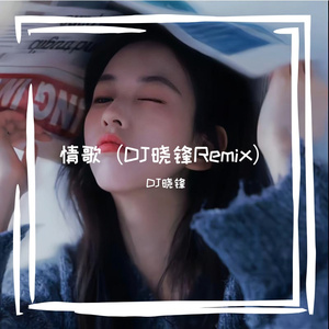 情歌（DJ晓锋 remix）