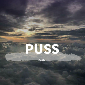 PUSS（翻自 申智珉）