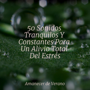 Peregrinaje por el camino místico