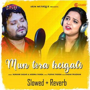 Mu Toro Heigali (Slowed + Reverb)