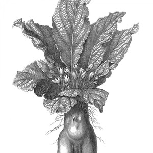 Spaziergang von LaMettrie und Bach durch Sanssouci bei leichtem Regen