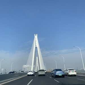 《迁徙的候鸟》.wav
