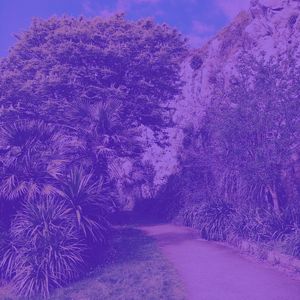 一尘不染温泉印象数