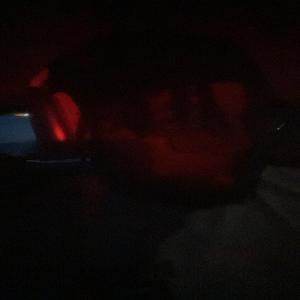 alhamdulillah (feat. Kdot)