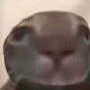 Lake Arrowhead 0.8-Slowed