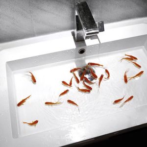 Realistic (Instrumental)