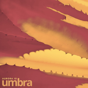 Umbra