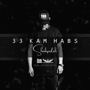 33 Kam Habs