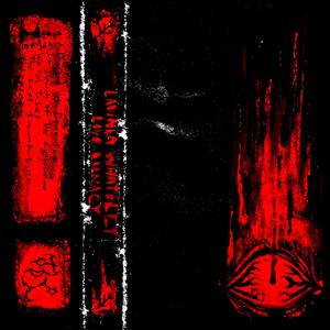 The Last Incantation (Live)