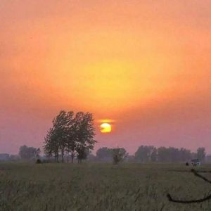 再次寻找宁静角落