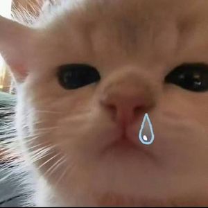 留些遗憾才值得回味