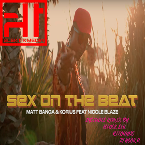 SEX ON THE BEAT (TJ Hook-A Remix)