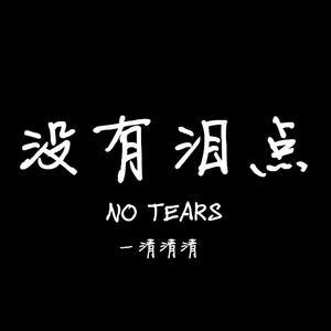 没有泪点(女声版)