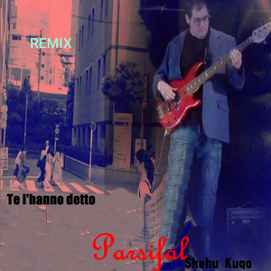 Te l'hanno detto (remix)