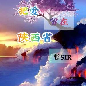 把爱留在陕西省