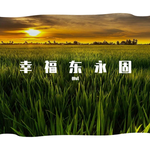 幸福东永固