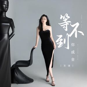 等不到你成全 (DJ彭锐版)